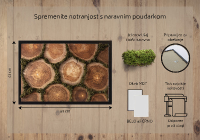 Moha kép A fa törzsének egy része