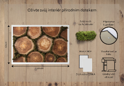 Moha kép A fa törzsének egy része