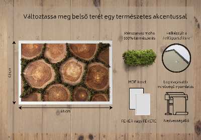 Moha kép A fa törzsének egy része
