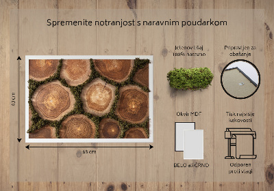 Moha kép A fa törzsének egy része
