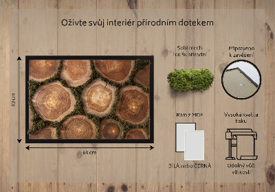 Moha kép A fa törzsének egy része