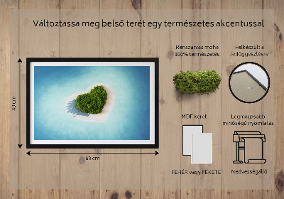 Élő moha kép Szív alakú sziget