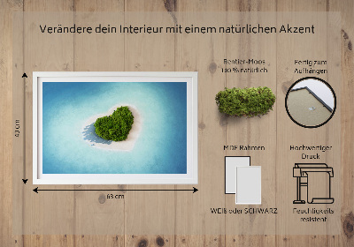 Élő moha kép Szív alakú sziget
