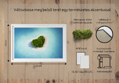 Élő moha kép Szív alakú sziget