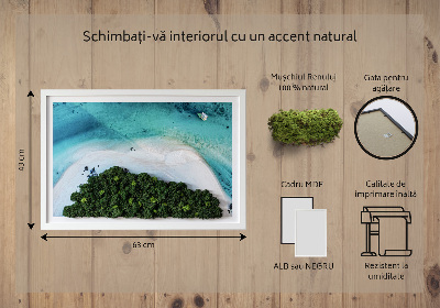 Élő moha kép Azúrkék strand