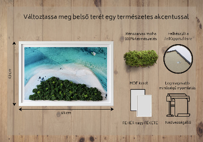 Élő moha kép Azúrkék strand