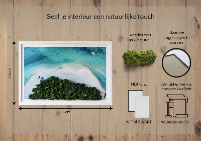 Élő moha kép Azúrkék strand