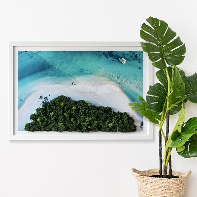 Élő moha kép Azúrkék strand