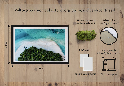 Élő moha kép Azúrkék strand