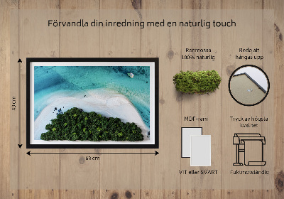Élő moha kép Azúrkék strand