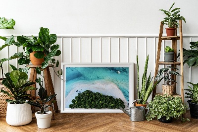 Élő moha kép Azúrkék strand