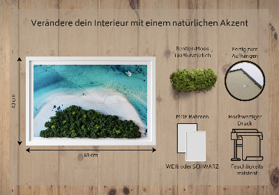 Élő moha kép Azúrkék strand