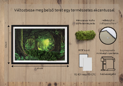 Moha kép Trópusi dzsungel