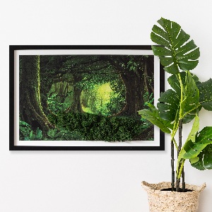 Moha kép Trópusi dzsungel
