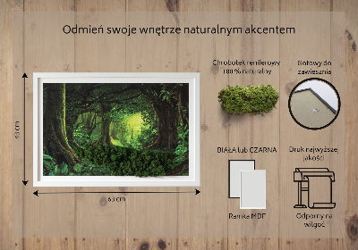 Moha kép Trópusi dzsungel
