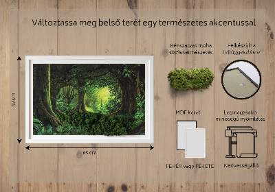 Moha kép Trópusi dzsungel