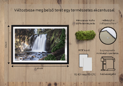 Moha kép Fák által körülvett vízesés