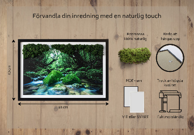 Élő moha kép Folyó az erdő közepén