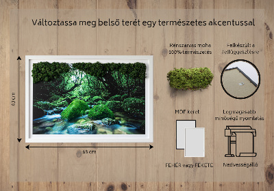 Élő moha kép Folyó az erdő közepén