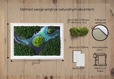 Moha kép Sziget a holtvizeken