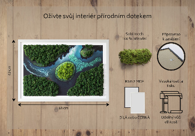 Moha kép Sziget a holtvizeken