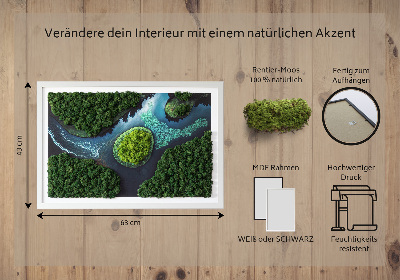 Moha kép Sziget a holtvizeken