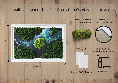 Moha kép Sziget a holtvizeken