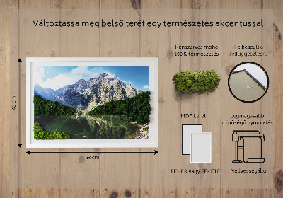 Moha kép Tátra Morskie Oko