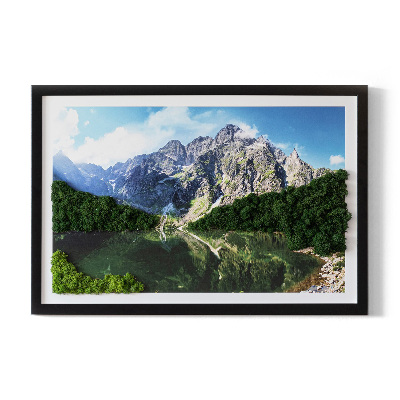 Moha kép Tátra Morskie Oko