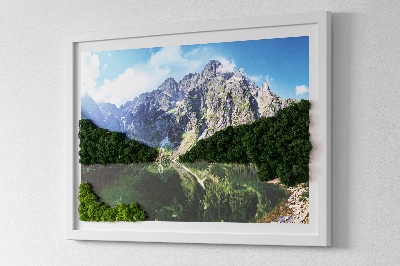 Moha kép Tátra Morskie Oko