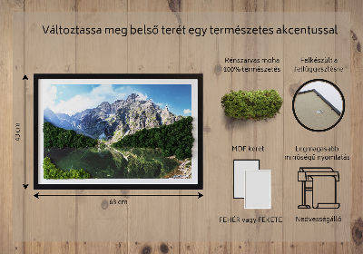 Moha kép Tátra Morskie Oko