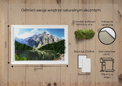Moha kép Tátra Morskie Oko