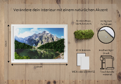 Moha kép Tátra Morskie Oko