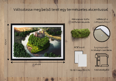 Moha kép Kastély a dombon
