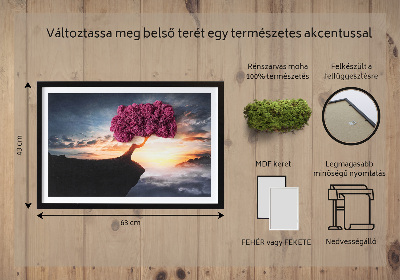 Moha kép Egy fa a mélység felett