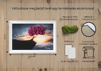 Moha kép Egy fa a mélység felett