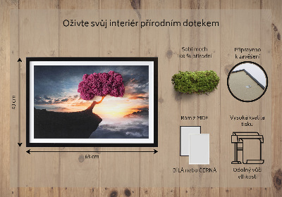 Moha kép Egy fa a mélység felett