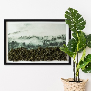 Élő moha kép Erdő a ködben