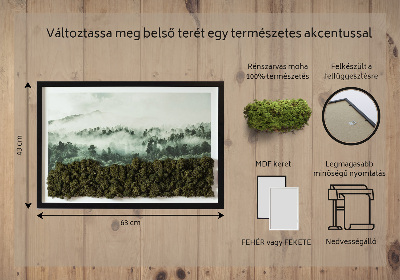 Élő moha kép Erdő a ködben