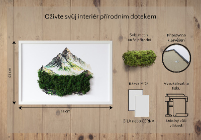 Moha kép A hegy teteje az erdő felett