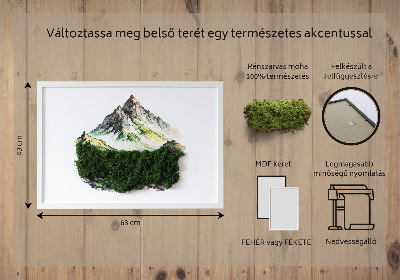 Moha kép A hegy teteje az erdő felett