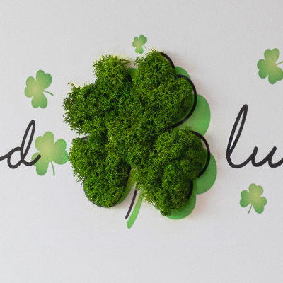 Moha kép A Good Luck felirat lóhere