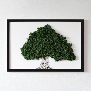 Fali moha kép Egy fa gyökerei fehér alapon