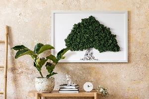 Fali moha kép Egy fa gyökerei fehér alapon