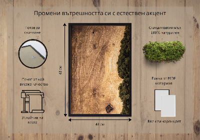 Moha kép Természetes tölgy