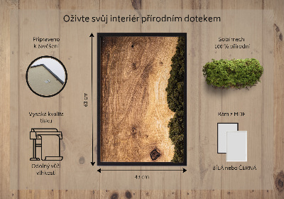 Moha kép Természetes tölgy