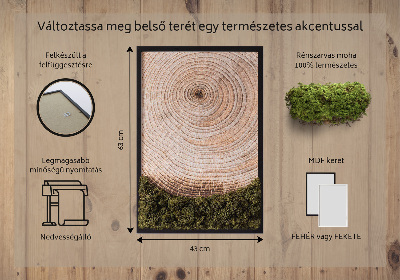 Élő moha kép Faerezet
