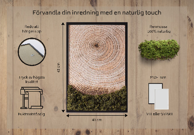 Élő moha kép Faerezet