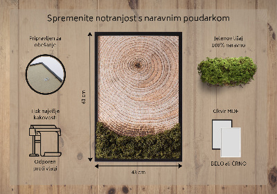 Élő moha kép Faerezet