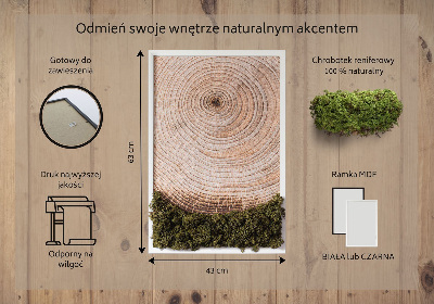 Élő moha kép Faerezet